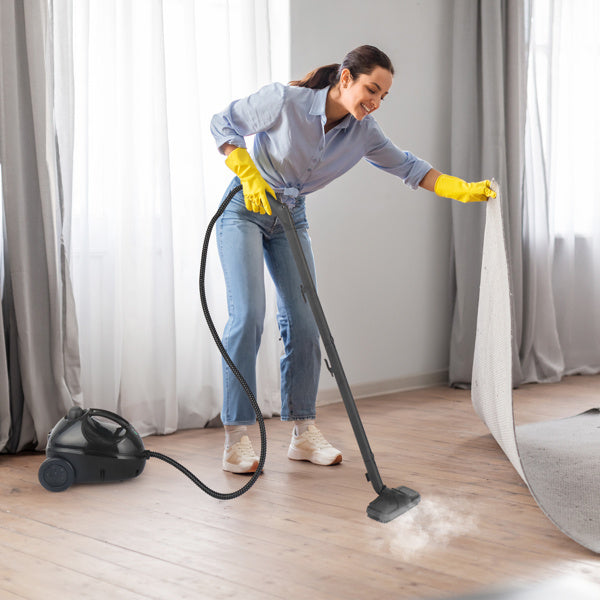 American Standard VSC28A Steam Cleaner 110V 1500W With 13 Accessories Aluminum Maximum Capacity 1200ML Continuous Operation